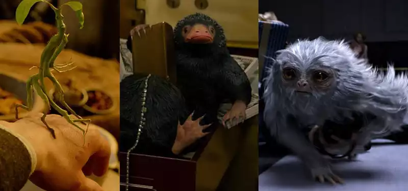 Tips and tricks to create Fantastic Beasts from the artists of "Fantastic Beasts and Where to Find Them"