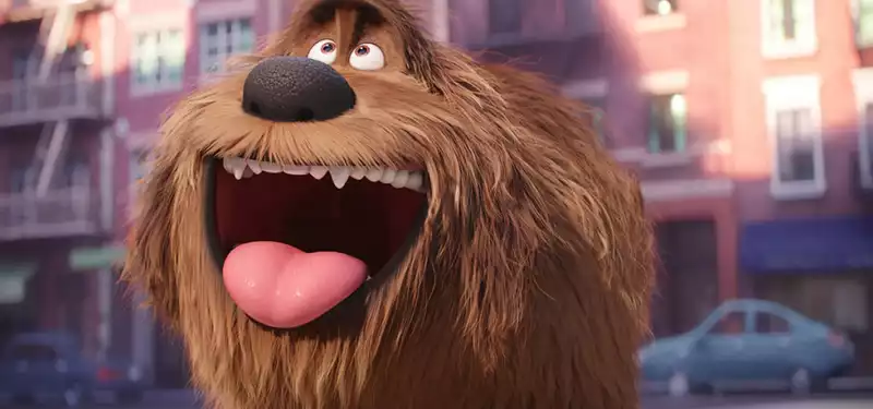 "The Secret Life of Pets" sequel confirmed - and it's coming soon