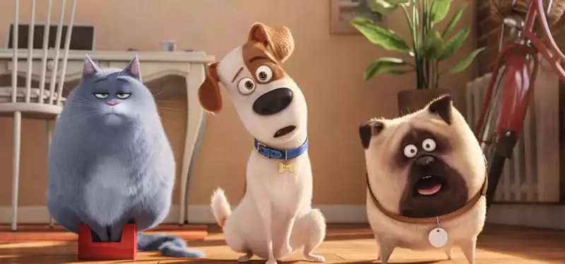 Chris Renault director of "The Secret Life of Pets"