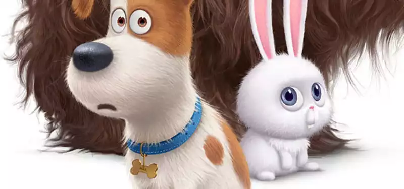 Louis C.K.The release date of the lighting set for - starring "The Secret Life of Pets"