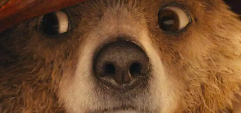 Paddington 2 happens faster than you think