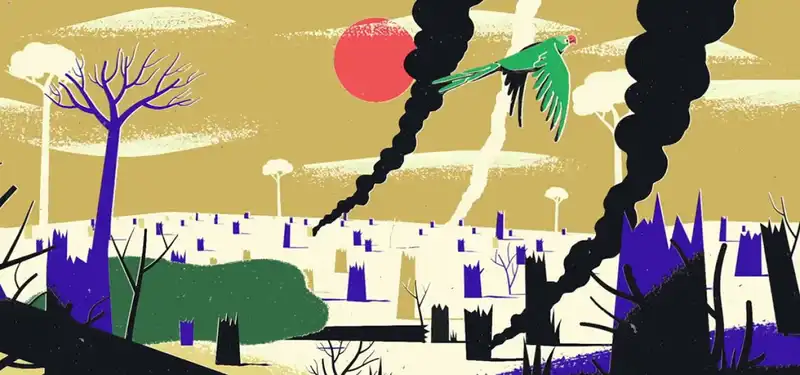 Moss Collective's “Forest 500” Animates the Reality of Rainforest Destruction